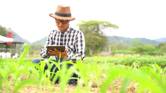 Concept of smart farmer using tablet computer in the field garden with sunset light, the application of modern technology in agricultural cultivation activities.