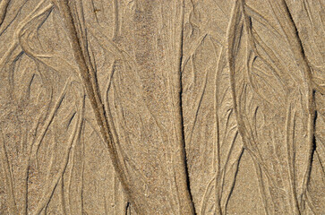 Top view of the texture of wet sand on the sea coast