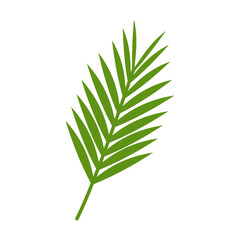 Flat Tropical Leaf