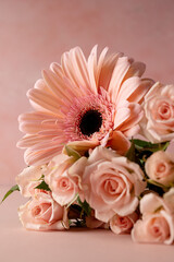 Gerbera fresh flower and roses over pink background. Abstract floral wallpaper, copy space