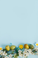 Stylish easter eggs and blooming flowers on blue background flat lay. Happy Easter! Natural painted colorful quail eggs and cherry blossom. Modern greeting card or banner, copy space