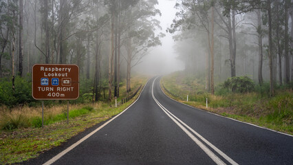 Foggy road through the Gibraltar Range, NSW, Australia