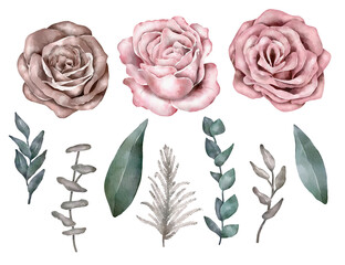 Watercolor Floral set. Roses and leaves.