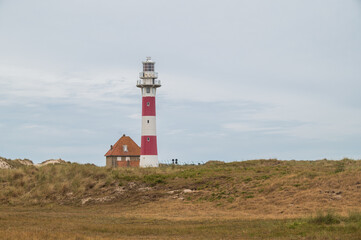 Fototapeta na wymiar Lighthouse at the Belgian coast 