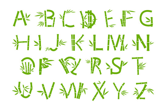 Bamboo font green stick abc English letters alphabet vector flat tropical plant leaves lettering