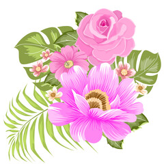 Botanical flower include roses , hibiscus , leaves and spring 