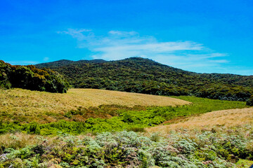 Fototapeta na wymiar Mountain valley landscape photography in Hortain Plains in Sri Lanka. 