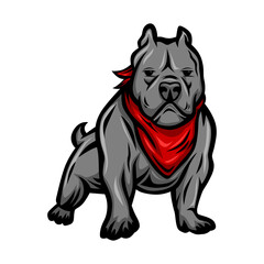 american bully, american pit bull, pet logo, dog pitbull, american bully dog ,colored pets for design, colour illustration suitable as logo or team mascot, dog illustration, vector graphics, - obrazy, fototapety, plakaty