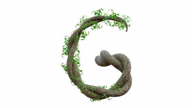 Tree grow or vine in the shape of the English text. Letter font G. Alpha Channel, cg animation, 3D Render.