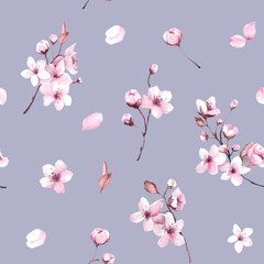 Fototapeta na wymiar Pink pattern, cherry blossom pattern, sakura. Spring blossom, blooming flowers, pink background. Hand drawn detailed botanical pattern for social media, web, cards.
