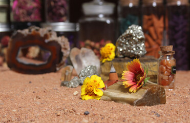Yellow Flower With Pyrite Rocks and Crystals on Australian Red Sand
