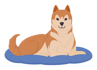 Cartoon akita inu lies in dog bed. Cute akita resting in dog bed, purebred domestic pet flat vector illustration