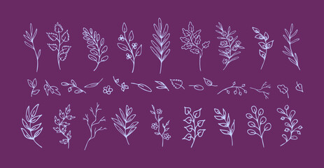 Set of hand drawn lilac leaves and twigs