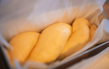 Homemade Romanian traditional sponge cake, Easter holidays food made in Romania