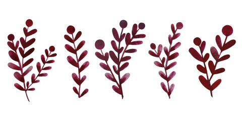 Abstract watercolor botanical leaves elements. Collection leaf watercolor painting isolated on white background