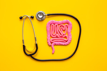 Digestive colon system health concept. Intestines shape made of plasticine with stethoscope
