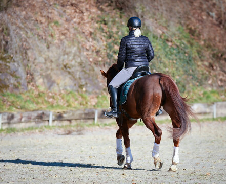 Dressage rider with horse in the riding arena, photographed from behind while trotting, motif on the right in the picture..