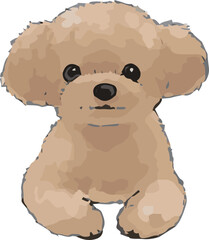 トイプードルのスケッチ風イラスト