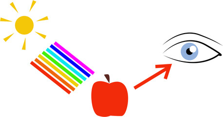 Color perception. Physics of color formation, color education. Sun, rainbow, vision. The absorption and reflection of a ray of light. Red Apple. Emotional range color wheel about feelings 