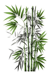 Fototapeta na wymiar bamboo tree transparent background, ai generated