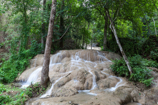 Beautiful Bua Tong Sticky Waterfalls in Chiang Mai province in Northern Thailand. River stream in a tropical forest in Thailand.