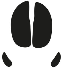 Wildschweinspur Hufabdruck Vektorgrafik Wildtier Wildschwein