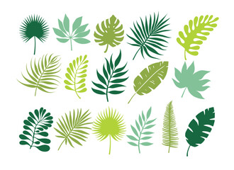 Set of tropical leaves. Jungle foliage. Green palm leaves on the white background. Tropical vector set
