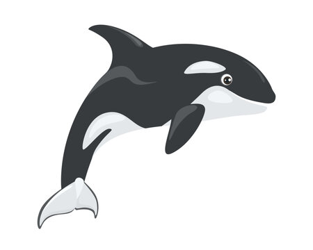 Cute orca jumping vector illustration isolated on white. Killer whale spirit. Cartoon sea animal. 