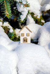symbol of the house stands on a snow-covered fir branches
