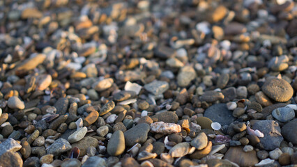 Filming pebbles on the beach with selective focus