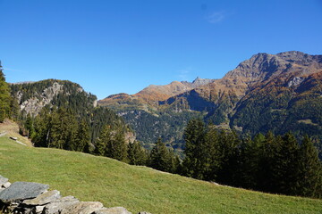 Alpwiese im Puschlav