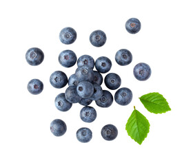 Fototapeta Blueberries and leaves isolated on transparent png obraz