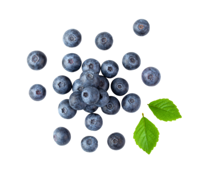 Blueberries and leaves isolated on transparent png
