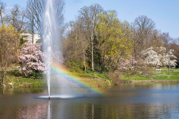 Fototapeta premium Water fountain with rainbow in the spa park of Wiesbaden/Germany in spring