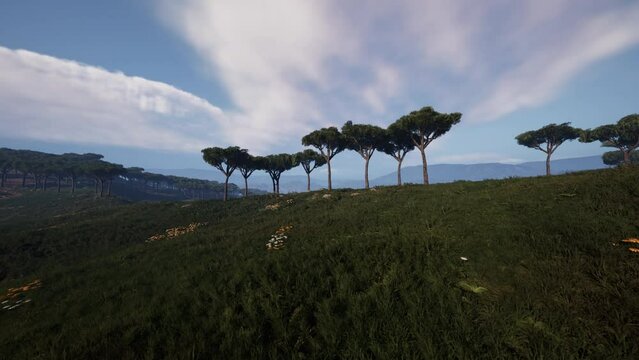 Aerial panorama view To Mago National Park