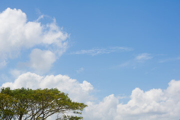 blue sky and fluffy soft white cloud background and texture, concept for freedom and bright ozone air, design for backdrop and nature wallpaper 