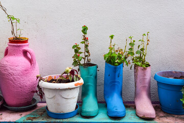 Colorful old boots used as flower pots.turkey