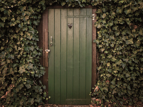 old wooden door in a Green leafs