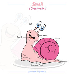 Parts of a snail cartoon