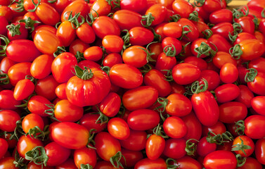 red tomatoes at the market