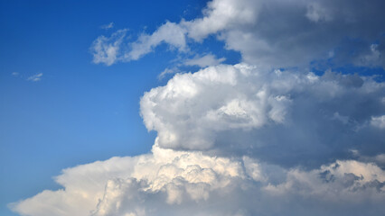 Naklejka na ściany i meble Cotton-shaped cumulus clouds seem to indicate an approaching storm on a clear blue sky
