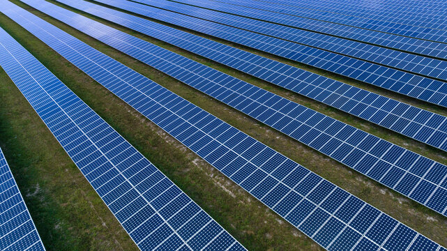 Solar panels (solar cell) in solar farm clean energy tecnologyfor the future concept,