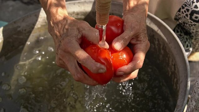 The old woman washes the tomato crop on the street, in the backyard. Unrecognizable man, hands close up. organic farming concept, nutrition care, local farming 