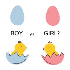 Guessing baby gender sex. Boy or girl predicting in pregnancy. Two chick in blue and pink shell. Baby shower. Announcement and celebration. Flat cartoon doodle vector illustration, small chicken.