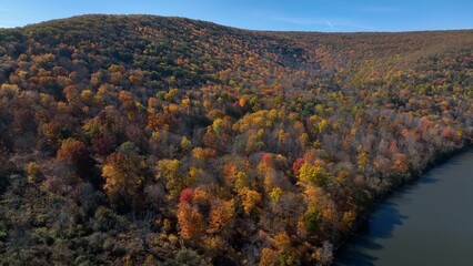 Mountains in Autumn with Fall colors in trees under blue sky in nature outdoors in American wilderness