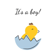 It's a boy. Small newborn chick in blue shell. Baby shower greeting card. Hand drawn vector doodle illustration in flat cartoon style with black line. Concept of birth, boy birthday party, cute.