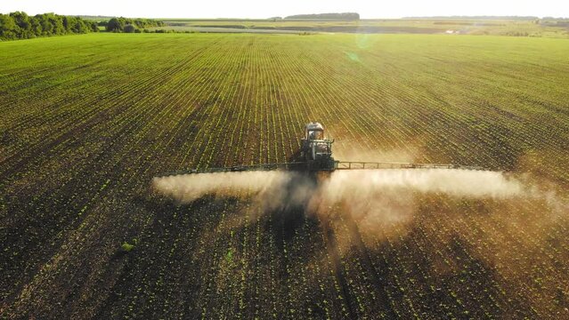 Aerial footage. Pesticide Sprayer Tractor working on a large green field at sunset. Aerial shot following on the side a tractor spraying wheat field against diseases. Farmer spraying soybean fields.