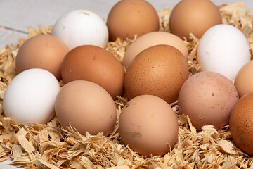 Huevos frescos de gallina.