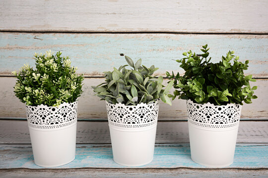 Maceteros blancos con plantas verdes.