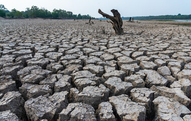 drought land.Land with dry and cracked desert ground, global warming background.Concepts global...